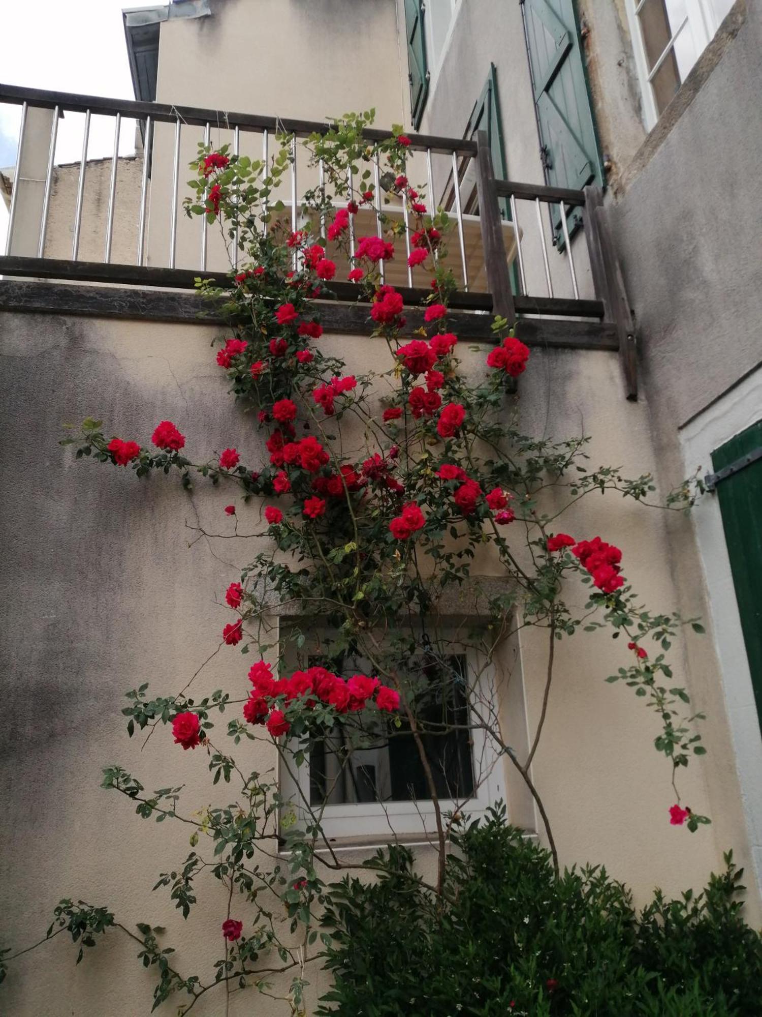 Maison Alba La Source Mazamet Exterior foto